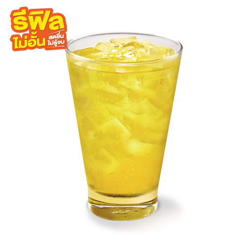 น้ำเก๊กฮวยรีฟิล น้ำเก๊กฮวยรีฟิล