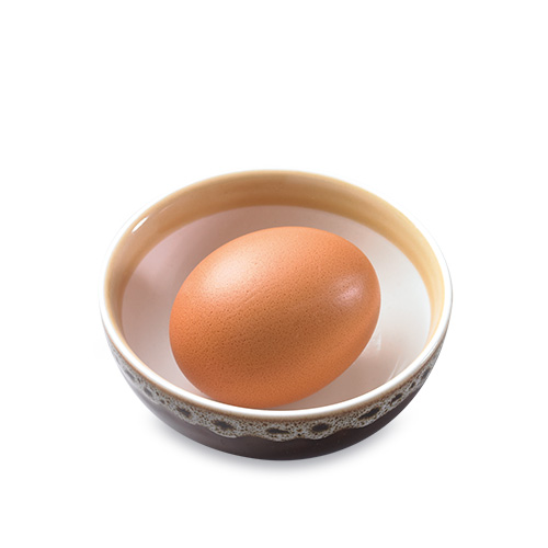 Egg